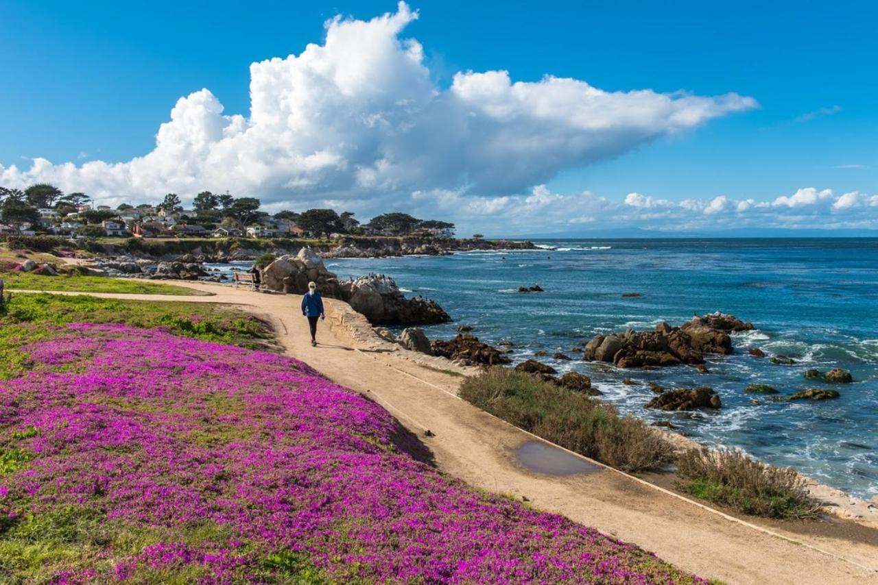 3798 Cedar Place Apts Apartment Carmel-by-the-Sea