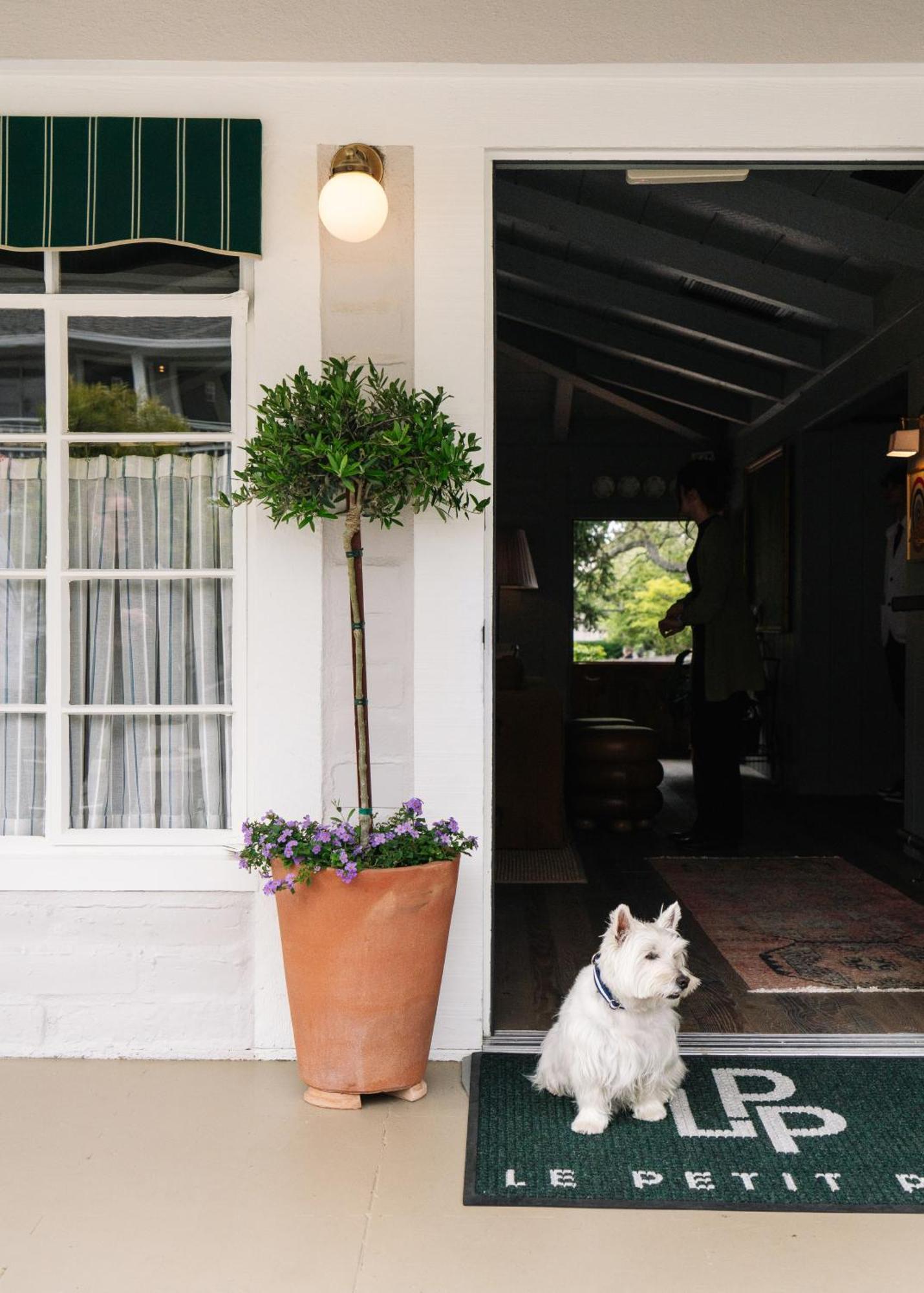 Le Petit Pali At Ocean Ave 4* Carmel-by-the-Sea