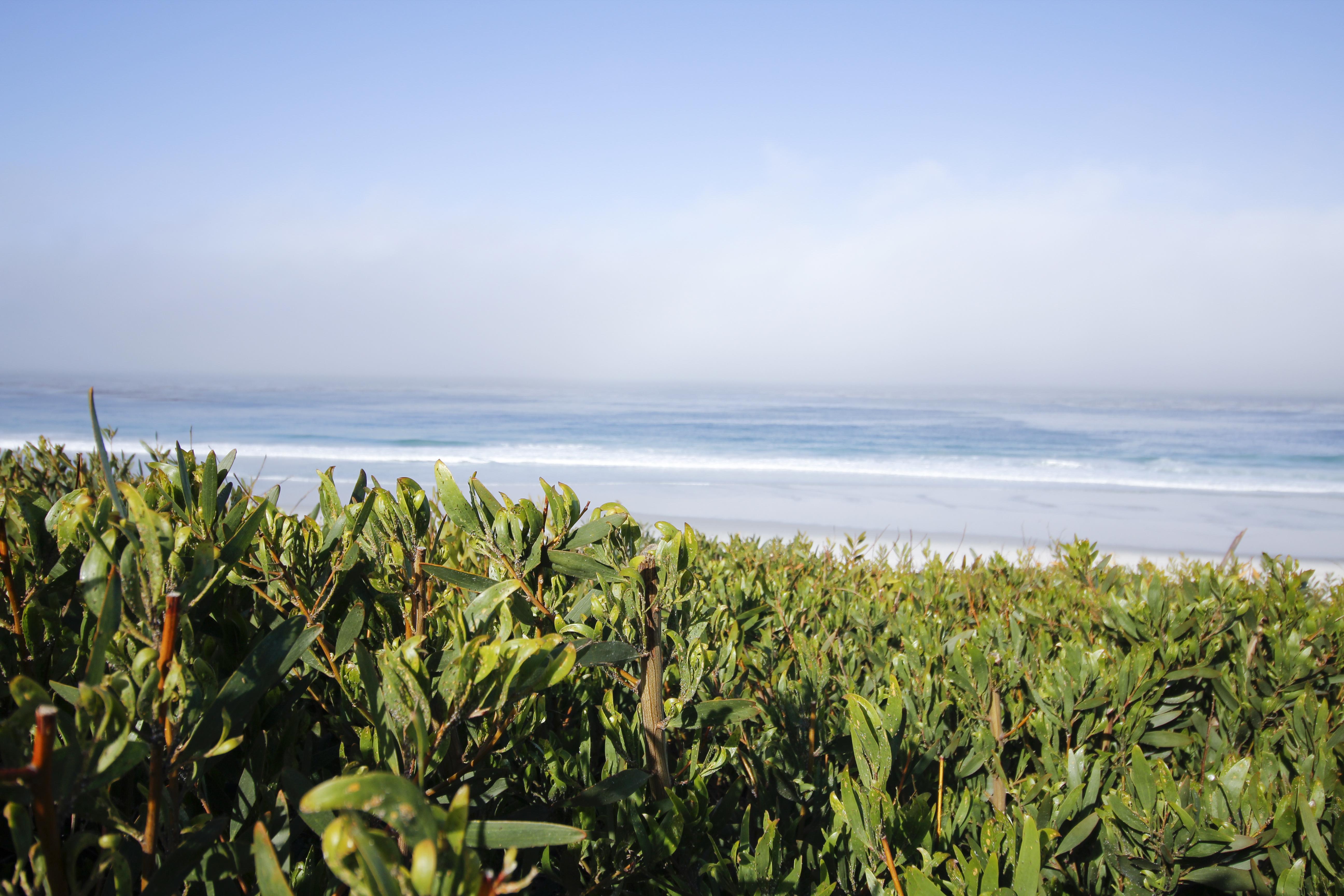 Le Petit Pali At Ocean Ave Hotel Carmel-by-the-Sea