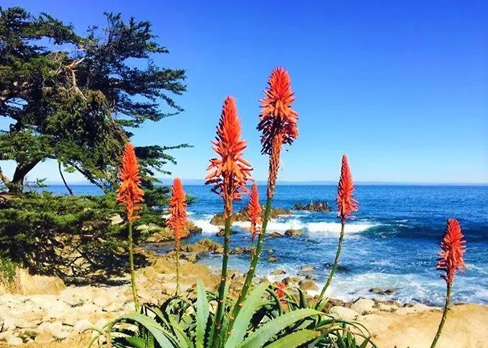 Mv 14: Beach Retreat Close To The Beach And Carmel