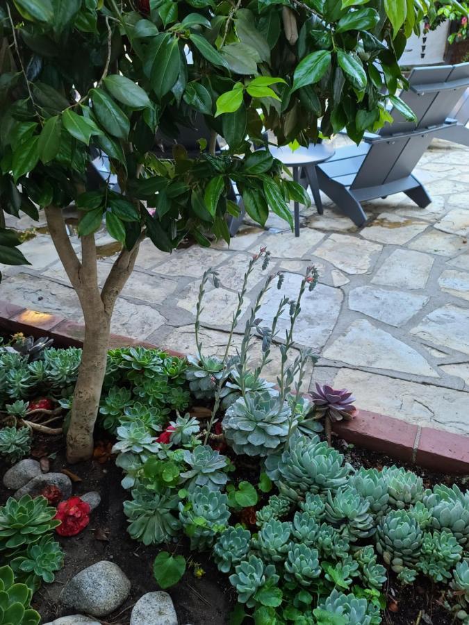 The Vagabond's House Boutique 4* Carmel-by-the-Sea
