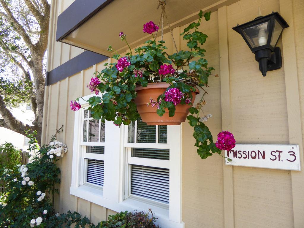 Hotel Briarwood 3*